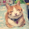 老贾克斯
