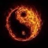星动-甜小丸