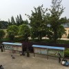 糊糊不爱睡午觉