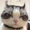 深度睡眠助眠