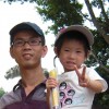 圆子助眠（回归版）