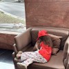 淼淼（声控助眠）