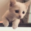 李忠儒～